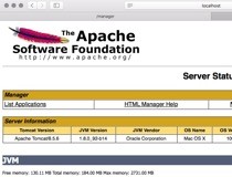 Apache tomcat downloads